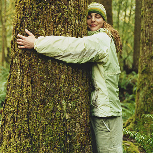 Abrazar árboles ha sido oficialmente validado por la ciencia